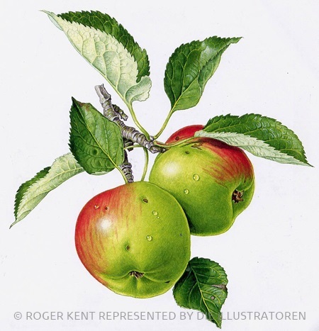 Roger Kent Die Illustratoren Portfolio Roger Kent