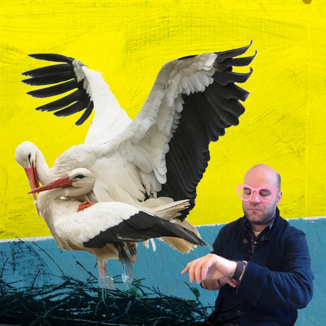 Animation collage of man with whooping crane