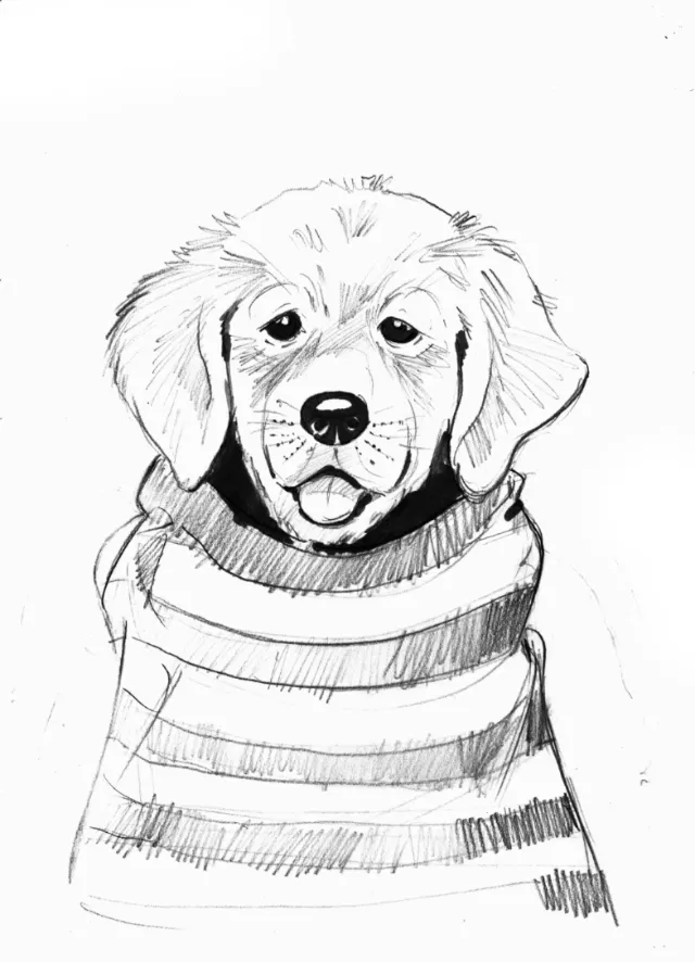 Sketch art of puppy dog