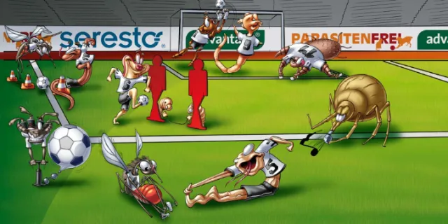 Cartoon insects playing soccer including spider and mosquito by Carsten Mell