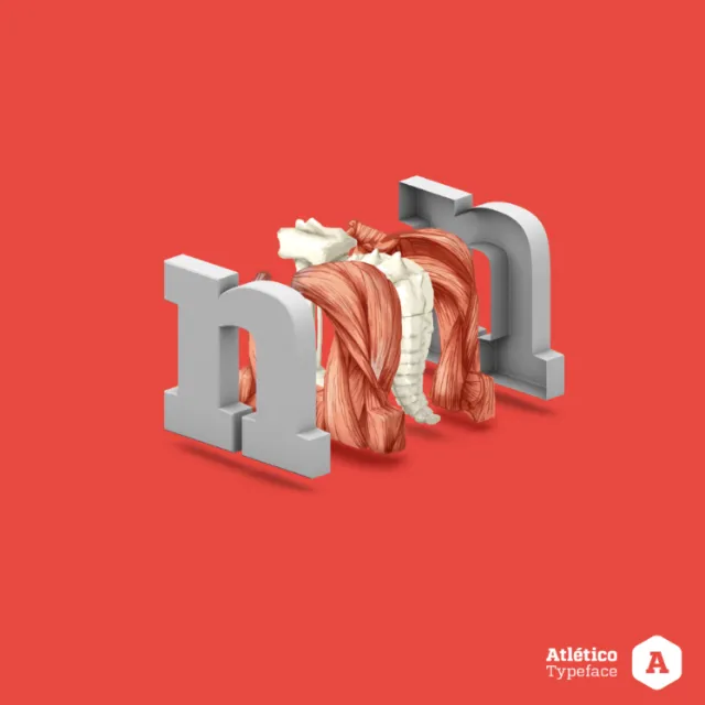 medical spine illustration N