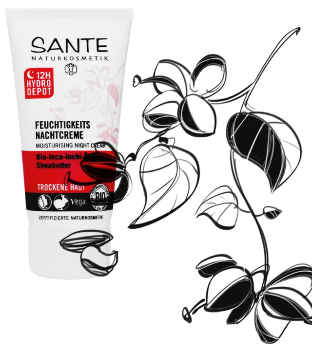 Beauty Illustration Sante
