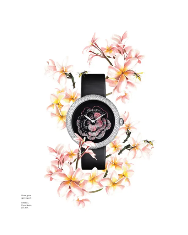 Natures Finest watercolour graphic