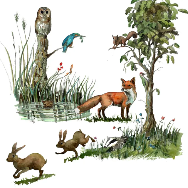 The illustration in line and watercolor of wild animals