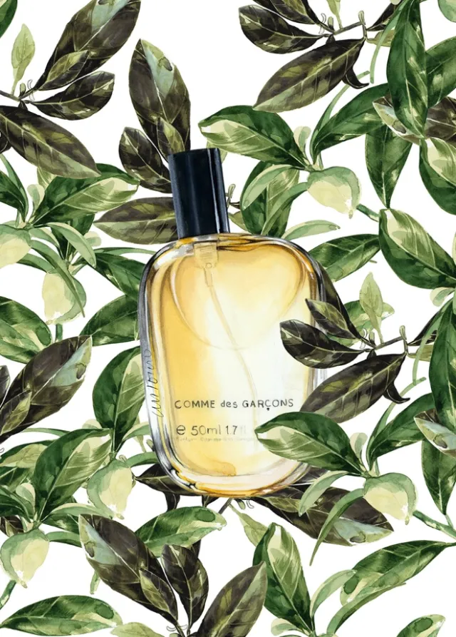 Watercolor painting Of Eau De Perfume bottle