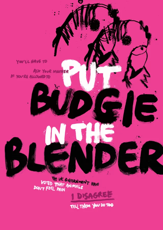 Lettering Put budgie in the blender