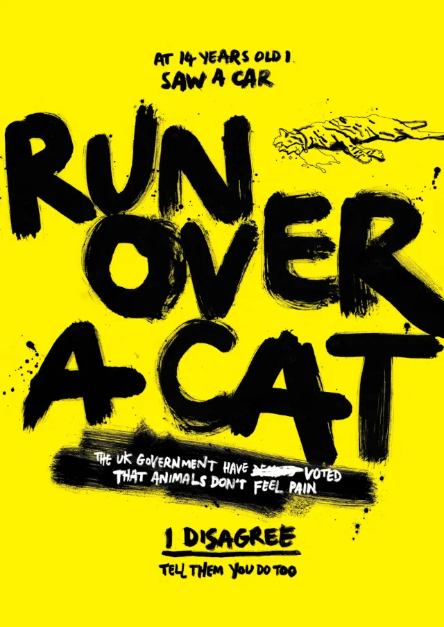 Lettering run over a cat