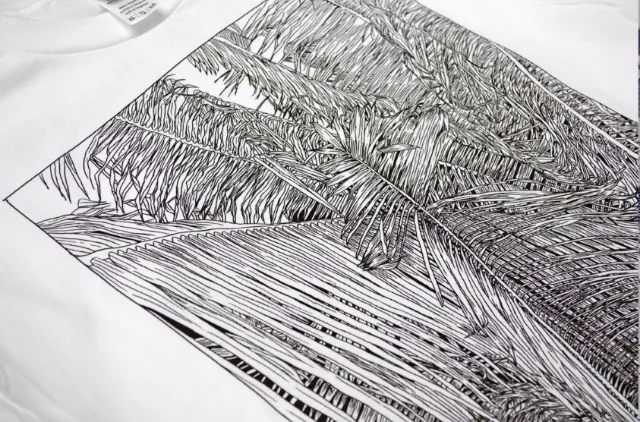 Black & White line art of Palm tree leaves