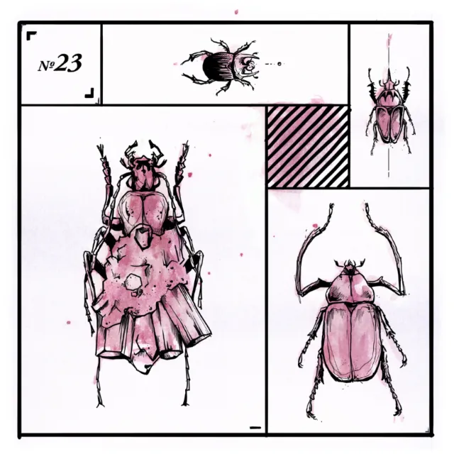 Animal loose illustration of bug