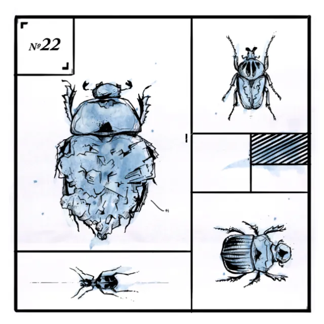 Loose animal illustration of bug