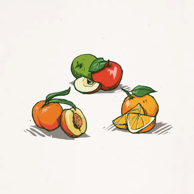 Food & drink illustration of Fruits