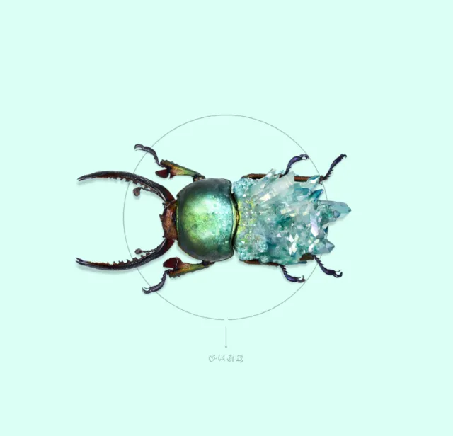 Animal illustration green bug