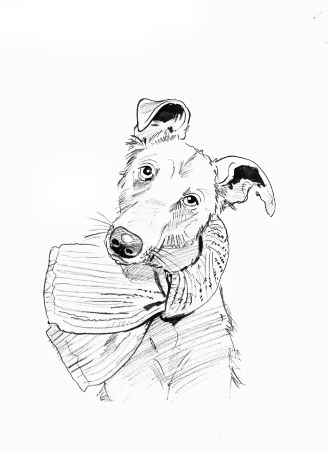 Line portrait of dog