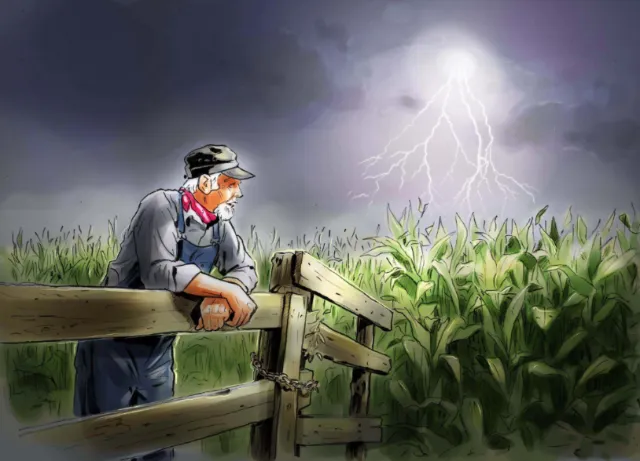 Standing in farm