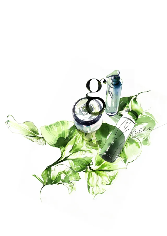 watercolor illustration of nature serum
