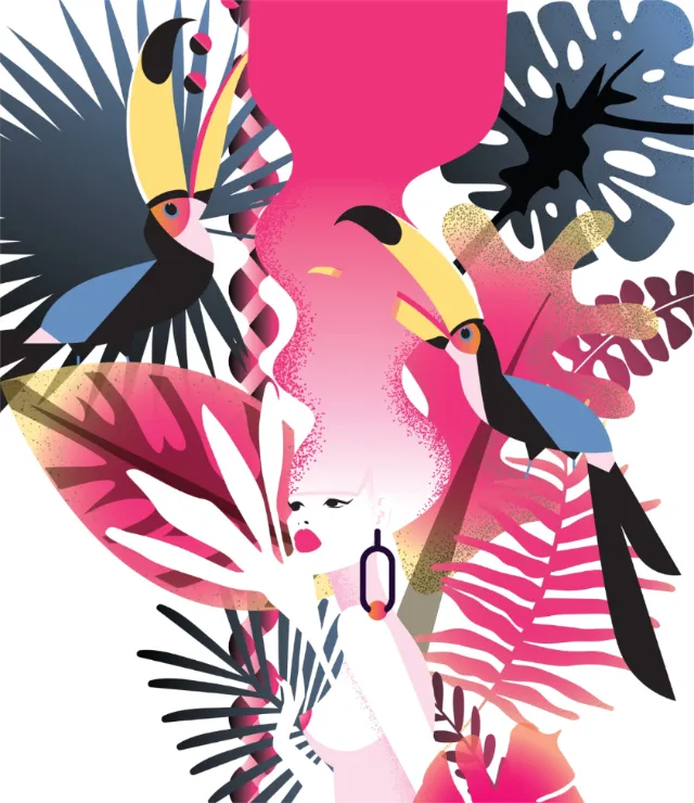 Graphic illustration of nature 