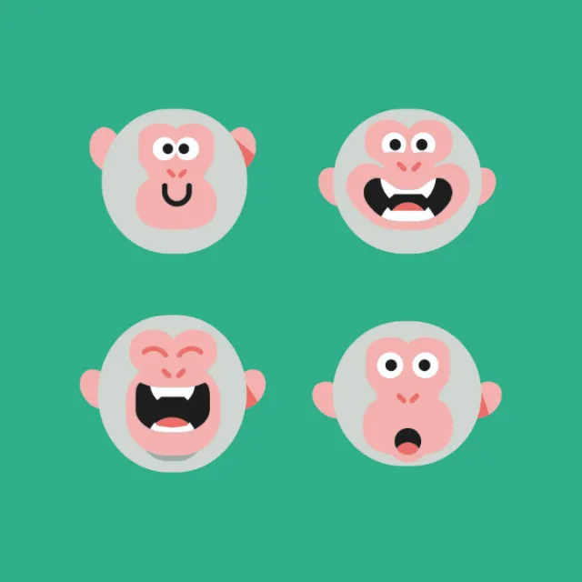 Graphic facial expressions of monkey