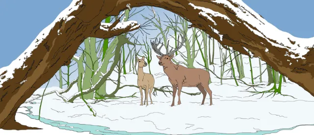 wild nature drawing and reindeers
