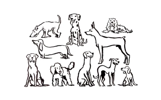 Black and white animals line drawing