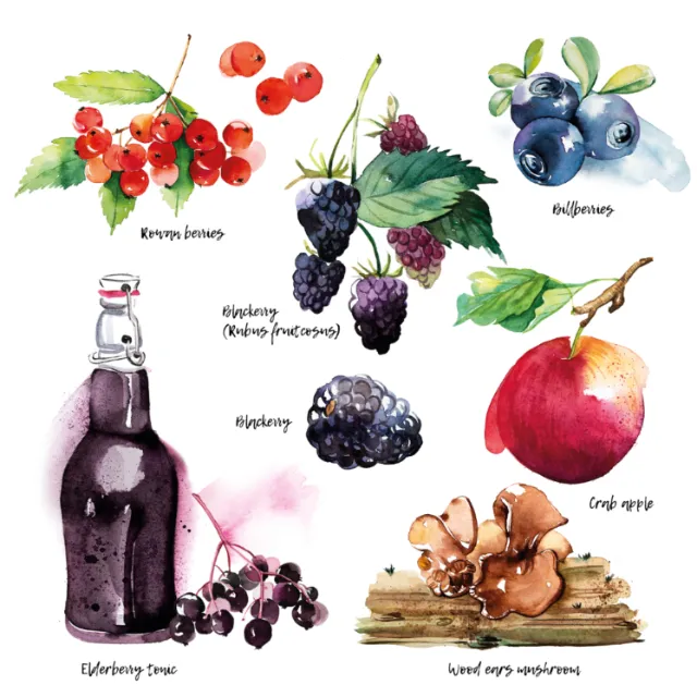 BBC CountryFile Magazine – Foraging recipes