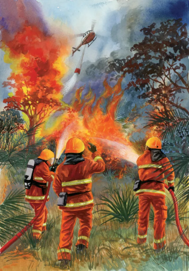 Firefighters extinguish a forest fire poster