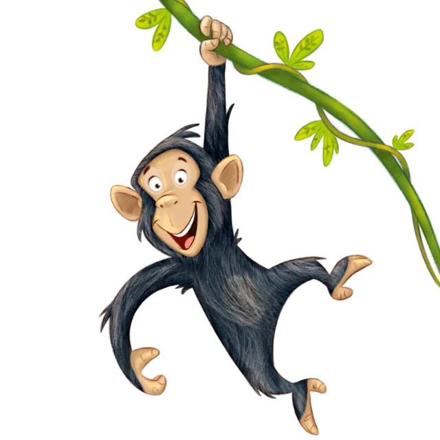 Monkey hanging on branch