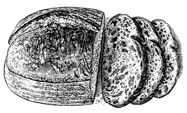 Bread illustration by Caroline Church