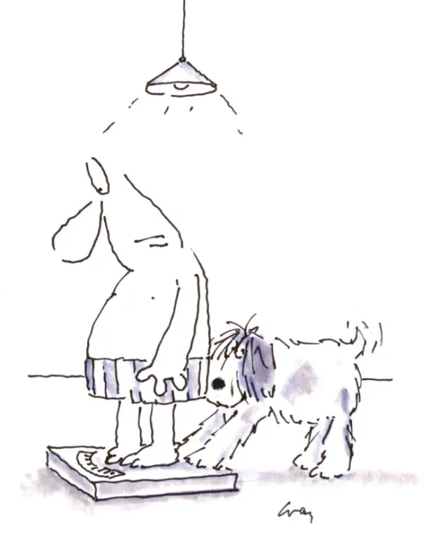 Man and dog at personal weighing machine - Cartoon illustration by Gray Jolliffe
