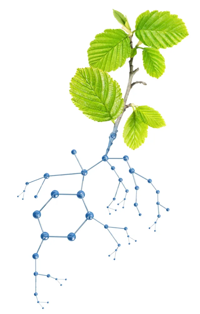 leaves 3D illustration