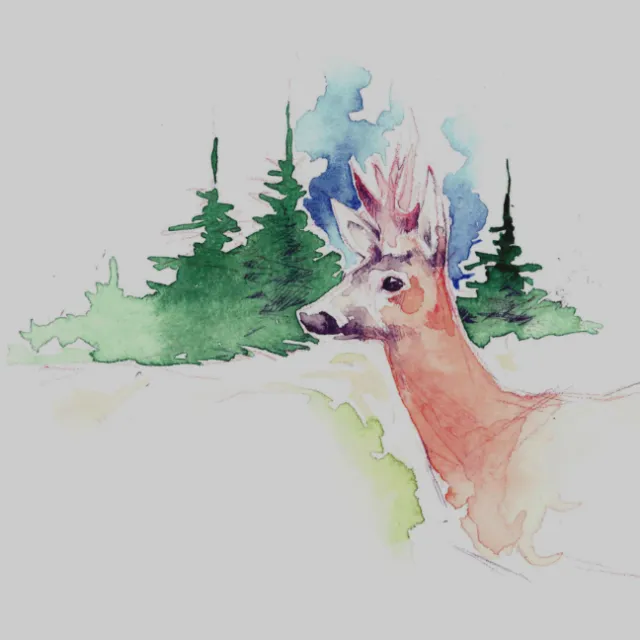 Watercolor painting of a deer in a forest by Timo Müller
