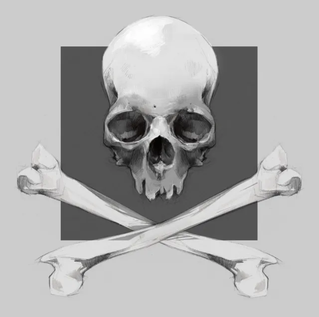 Pencil illustration of skull by Timo Muller