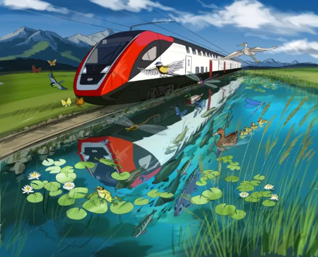 Train traveling by wetland with fish and birds, artwork by Björn von Schlippe