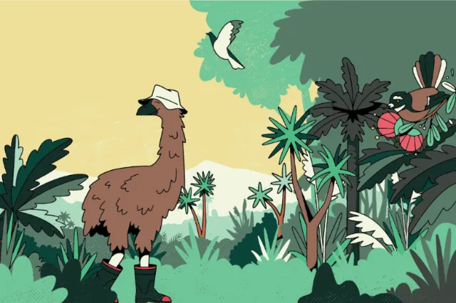 Cartoon & humour animals in forest
