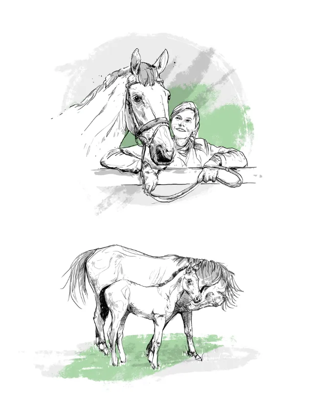 black and white line illustration of horse and woman