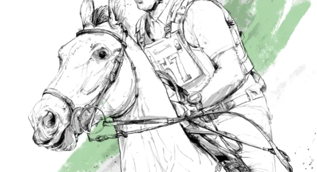 Horse black and white portrait