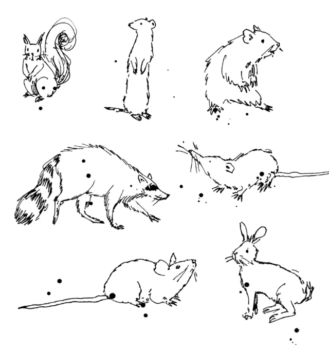 Loose line drawing of small wild animals.