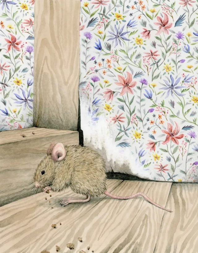 Mouse in the house