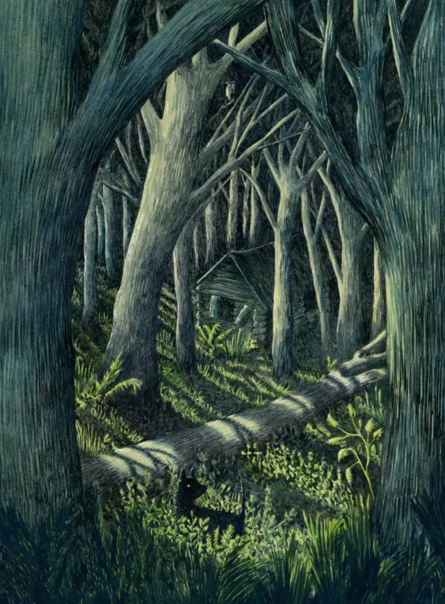 "Toto in the dark forest
"forest