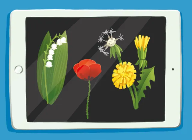 Cartoon & Humour flowers