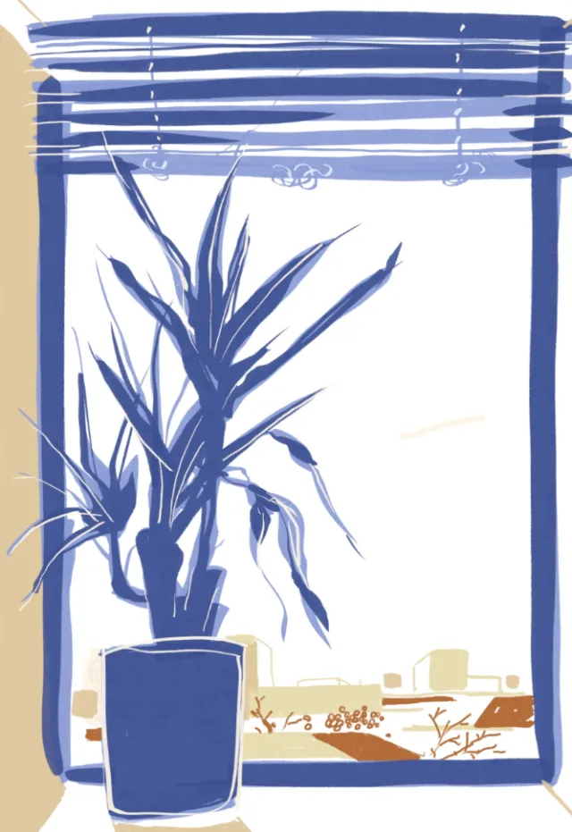 Framed-plant