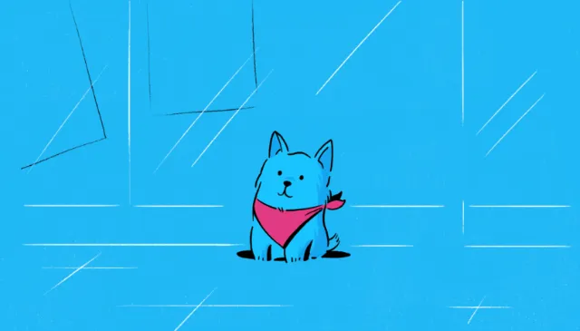 Treat yourself this black friday pets 2d animation