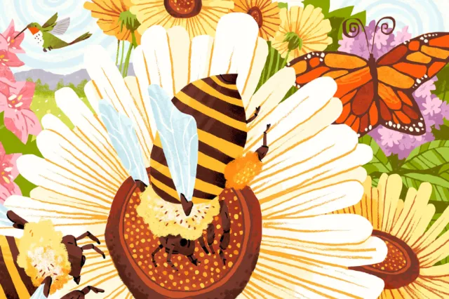 Pollinators including bee, butterfly, and hummingbird on bright flowers by Drew Bardana