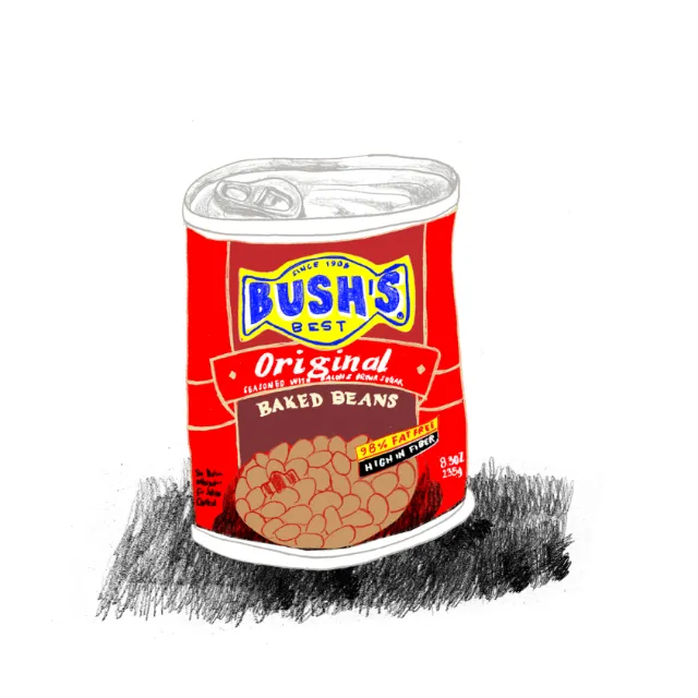 Illustration of Bushs tin