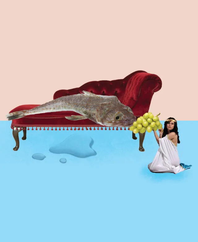 Collage & Montage Women feeding fish