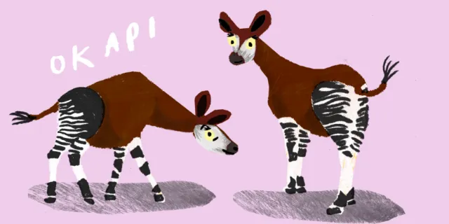Drawing of animals Okap