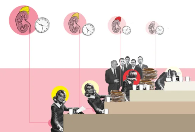 Medical Timeline of kidney