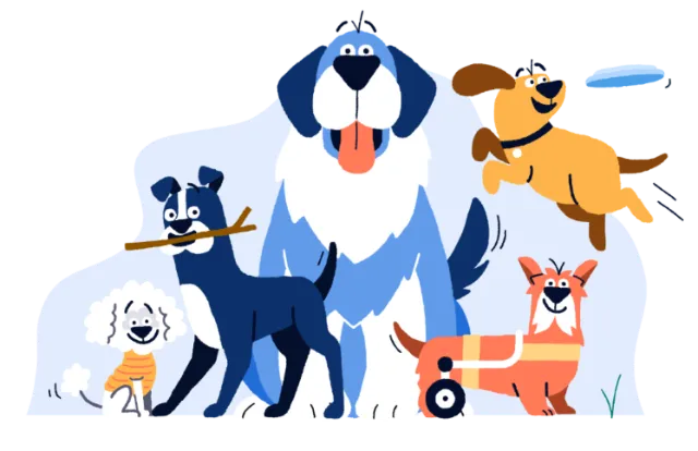 animals furry friends
