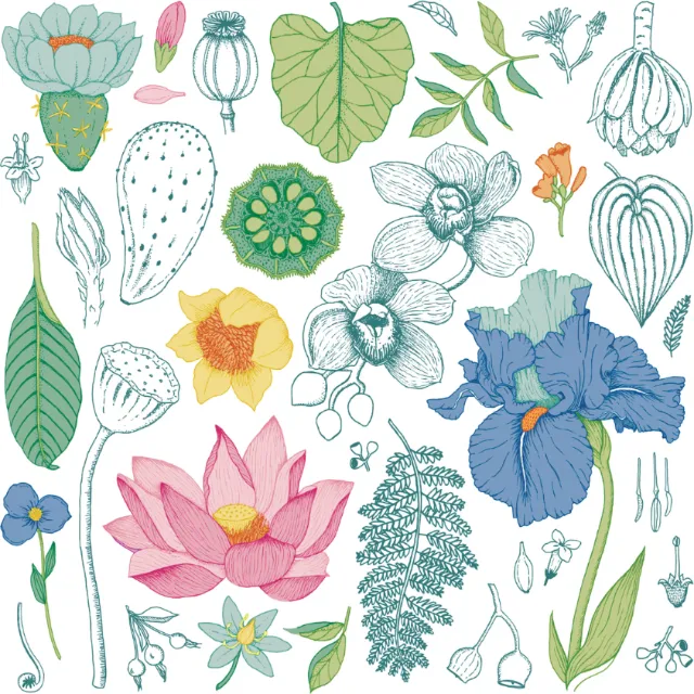 Decorative floral repeat
