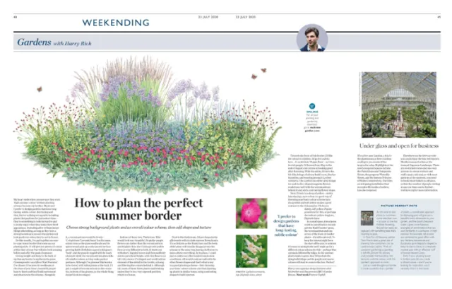 Editorial illustration of garden with Harry Rich