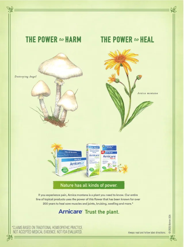 Medical illustration of Arnicare Ad.